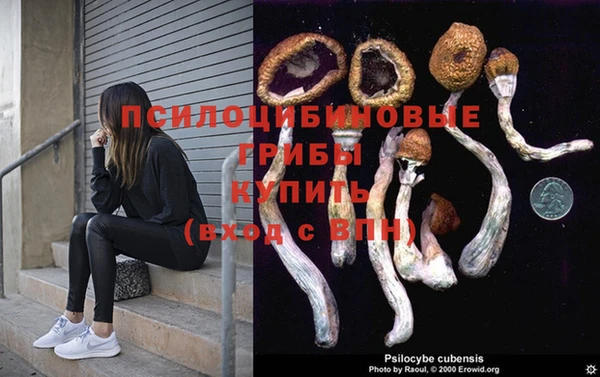первитин Гусиноозёрск