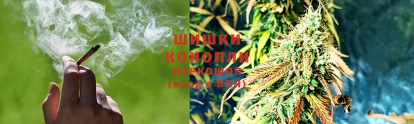 jwh Гусев