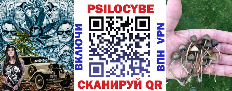 Галлюциногенные грибы Cubensis  Купить закладки  Лагань 